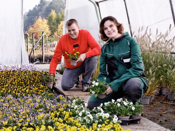 Auszubildende und Anleiter pflanzen Blumen in einem kleinen Gewächshaus.