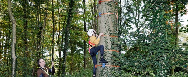 Mitarbeiter sichert Kind, das auf einen Baum klettert, mit Seilen.