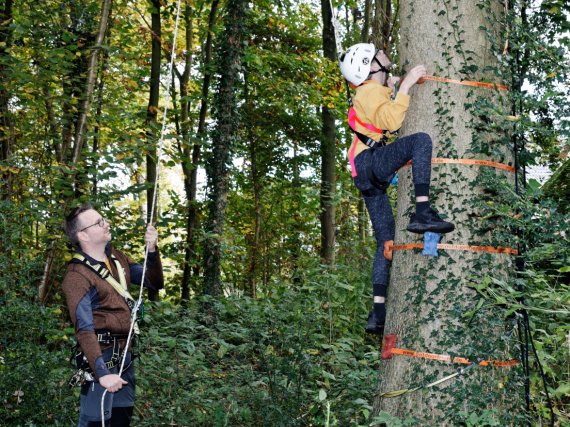 Mitarbeiter sichert Kind, das auf einen Baum klettert, mit Seilen.