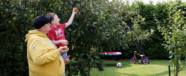 Vater hebt Kind hoch, das einen Apfel vom Baum pflückt.