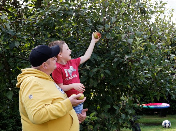 Vater hebt Kind hoch, das einen Apfel vom Baum pflückt.