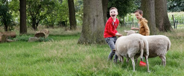 Zwei Kinder mit Schafen auf der Wiese.
