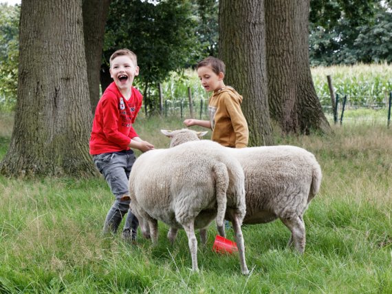 Zwei Kinder mit Schafen auf der Wiese.