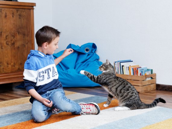 Kind sitzt mit Katze auf Teppich.