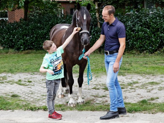 Kind striegelt ein Pferd. Betreuer steht daneben und hält die Zügel.