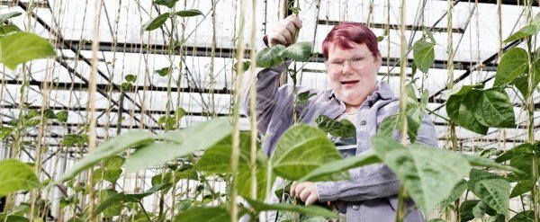Beschäftigte steht im Gewächshaus zwischen hohen Ranken.