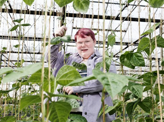 Beschäftigte steht im Gewächshaus zwischen hohen Ranken.