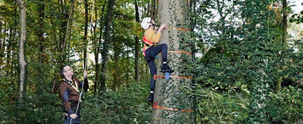 Mitarbeiter sichert Kind, das auf einen Baum klettert, mit Seilen.