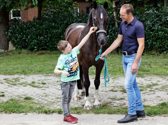 Kind striegelt ein Pferd. Betreuer steht daneben und hält die Zügel.