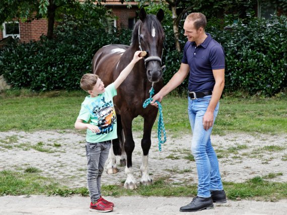 Kind striegelt ein Pferd. Betreuer steht daneben und hält die Zügel.